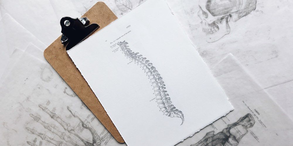 osteoporosis - Ginecologia